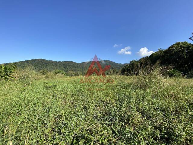 #6399 - Terreno para Venda em Ubatuba - SP - 2