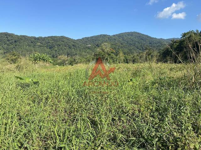 #6399 - Terreno para Venda em Ubatuba - SP - 3