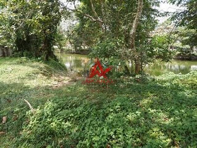 #6988 - Terreno para Venda em Ubatuba - SP - 3