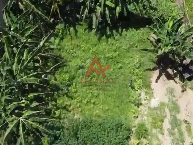 #7046 - Terreno para Venda em Ubatuba - SP - 3