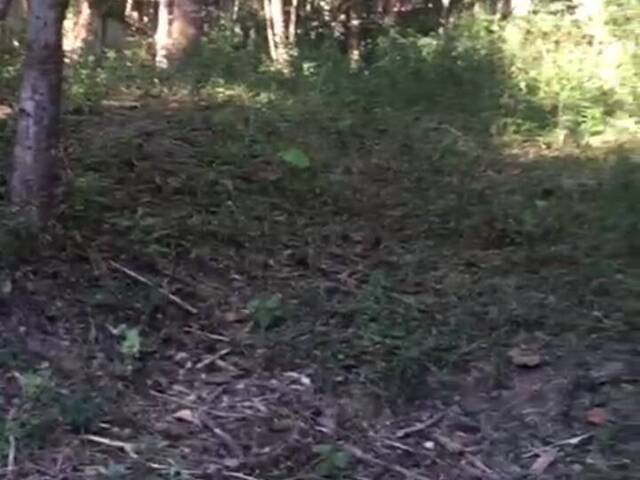 #6031 - Área para Venda em Mairiporã - SP