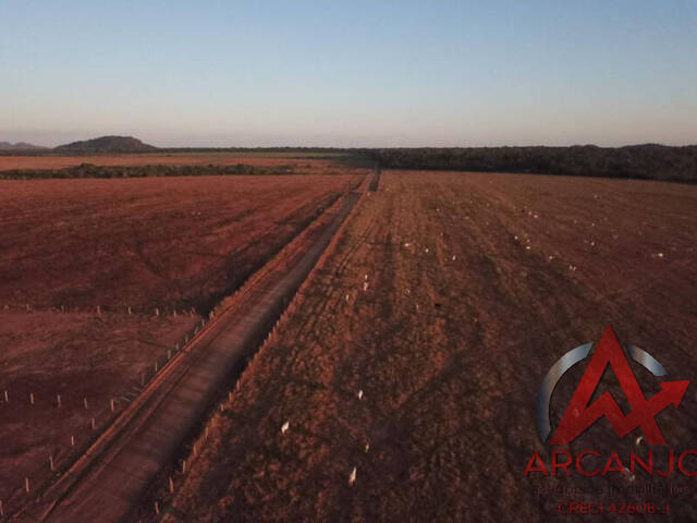 Fazenda para Venda em Santa Terezinha - 5