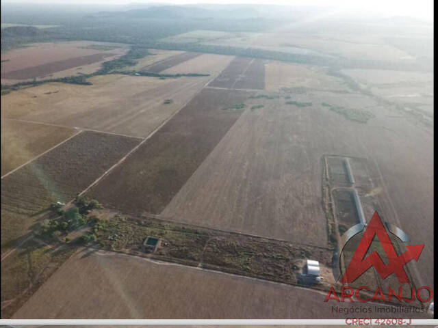 #6448 - Fazenda para Venda em Santa Terezinha - MT