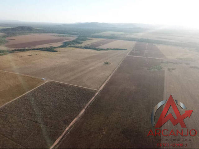#6448 - Fazenda para Venda em Santa Terezinha - MT