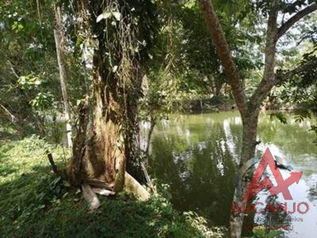 Área para Venda em Ubatuba - 5