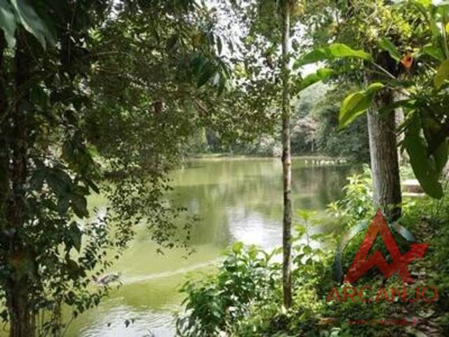 Área para Venda em Ubatuba - 4