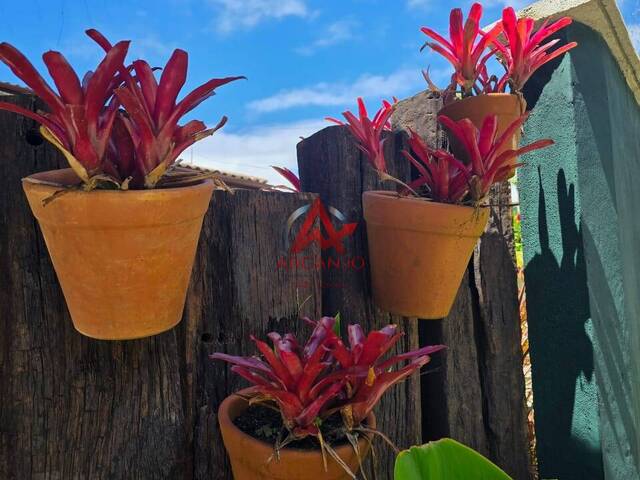 Casa para Venda em Ubatuba - 4