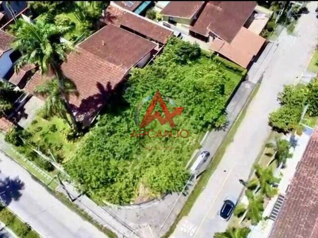 #7031 - Terreno para Venda em Ubatuba - SP - 1