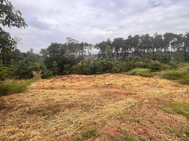 Venda em Tanque - Atibaia