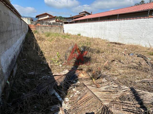 #6567 - Terreno para Venda em Ubatuba - SP - 1