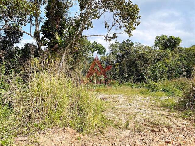 Terreno para Venda em Ubatuba - 4