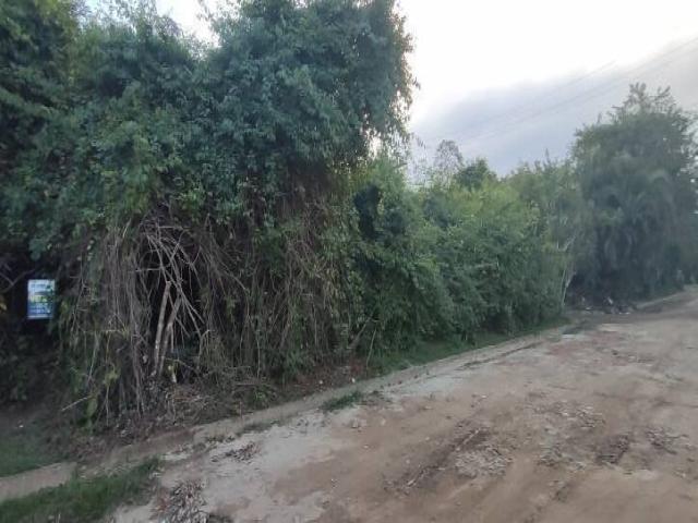 Terreno para Venda em Ubatuba - 4