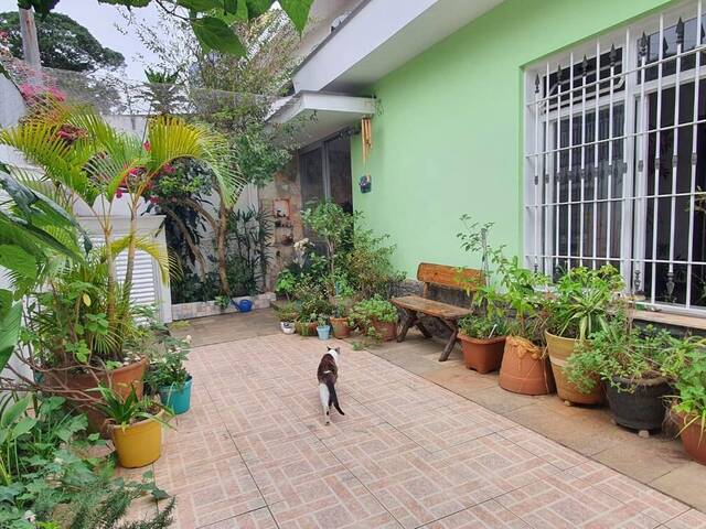 #6465 - Casa para Venda em São Paulo - SP - 3