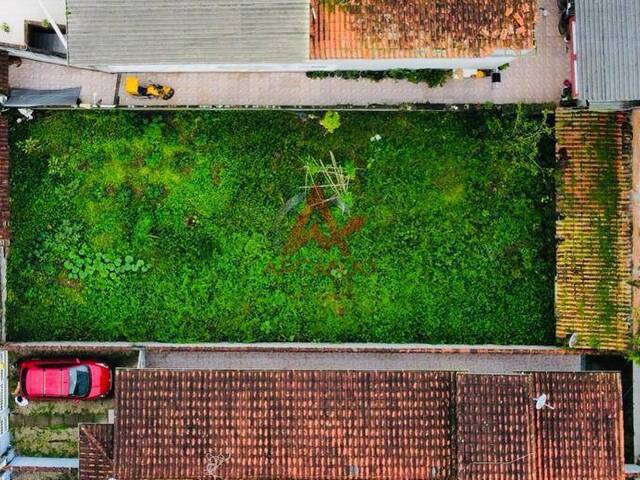 #5616 - Terreno para Venda em Ubatuba - SP - 3