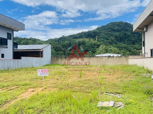 #7029 - Terreno para Venda em Ubatuba - SP - 3