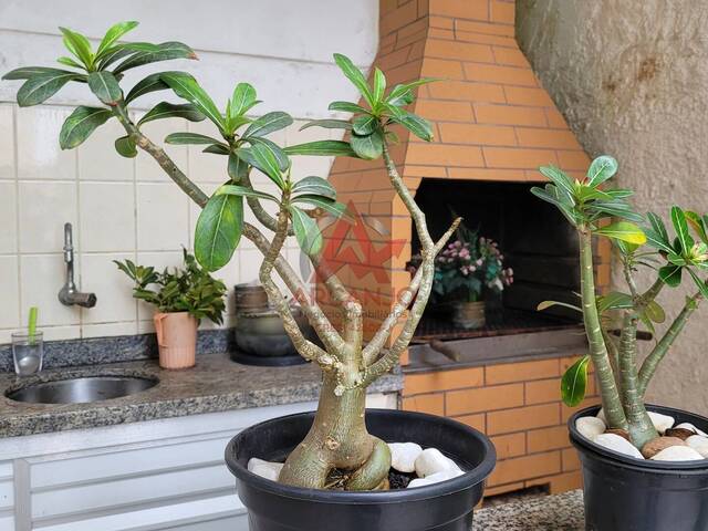 Apartamento para Venda em Ubatuba - 3