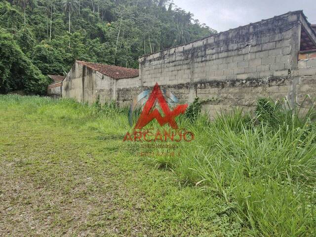#71019 - Terreno para Venda em Ubatuba - SP - 2
