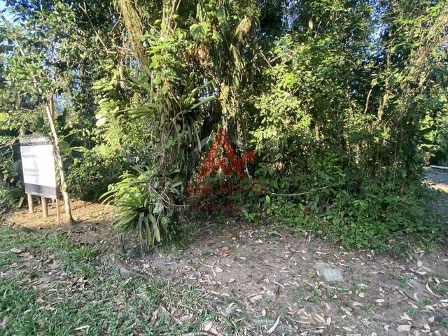 #70783 - Terreno em condomínio para Venda em Ubatuba - SP - 2