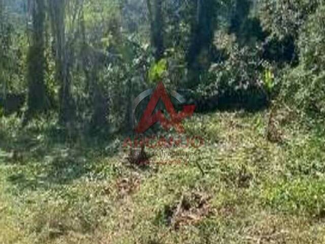 #7081 - Terreno para Venda em Ubatuba - SP - 1