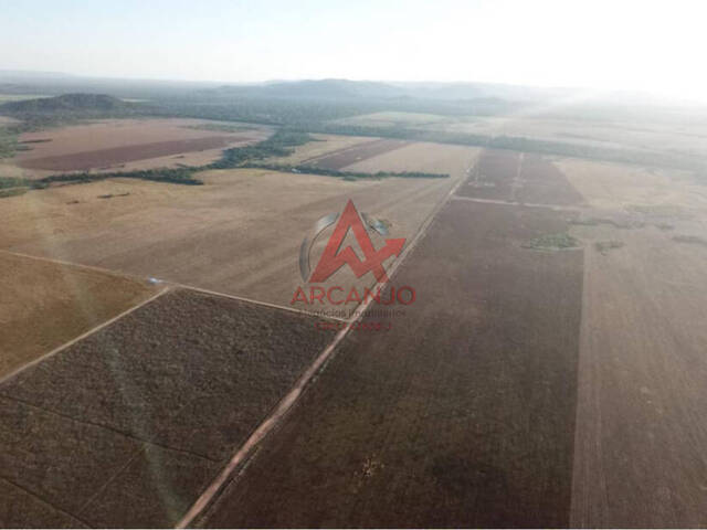 #6448 - Fazenda para Venda em Santa Terezinha - MT - 2