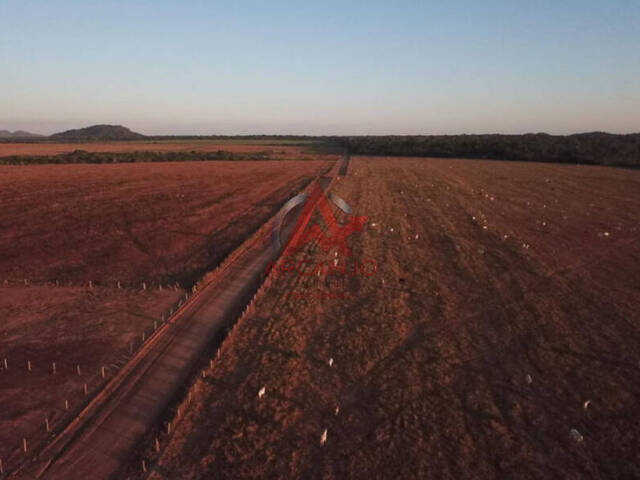 Fazenda para Venda em Santa Terezinha - 5