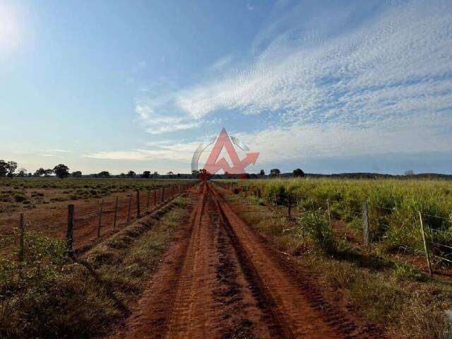 Fazenda para Venda em Cáceres - 3