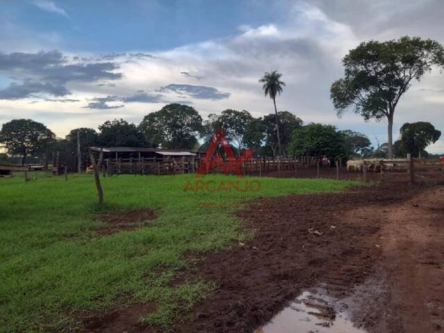 Fazenda para Venda em Cáceres - 5