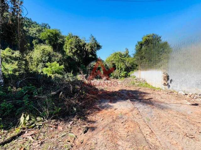 #6434 - Terreno para Venda em Ubatuba - SP - 2