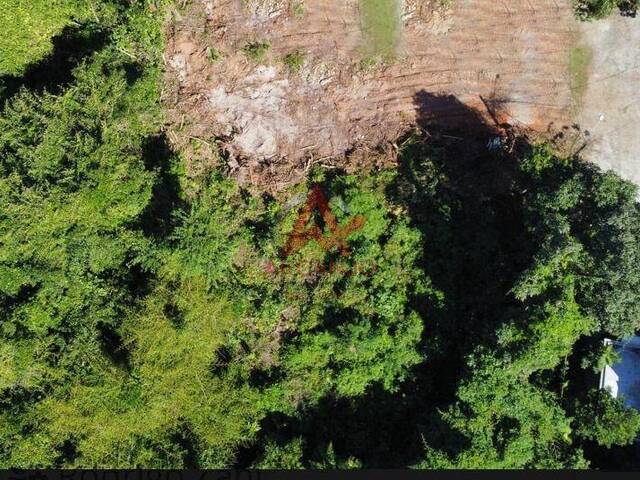 #6434 - Terreno para Venda em Ubatuba - SP - 3