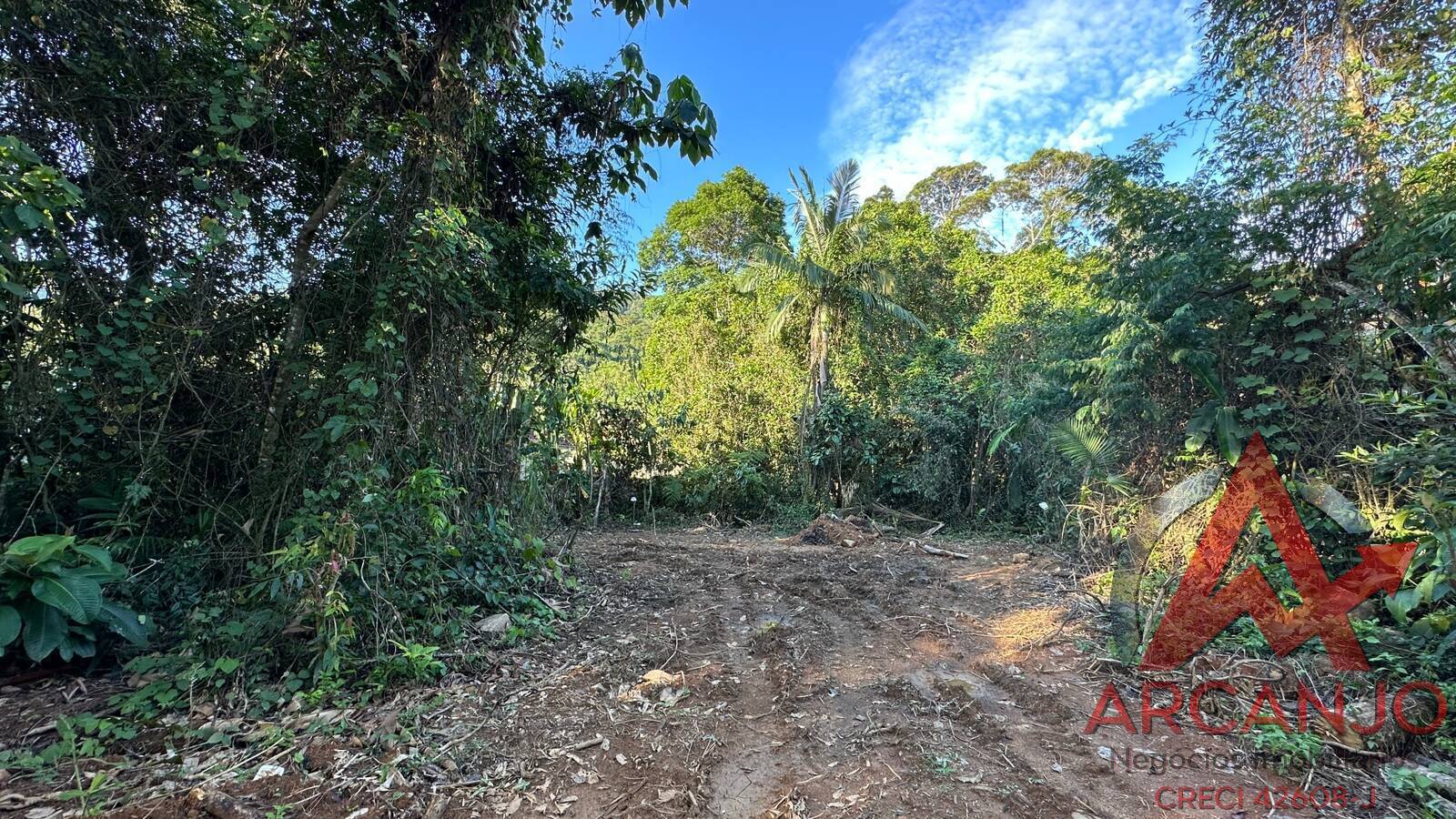 Terreno à venda, 558m² - Foto 1