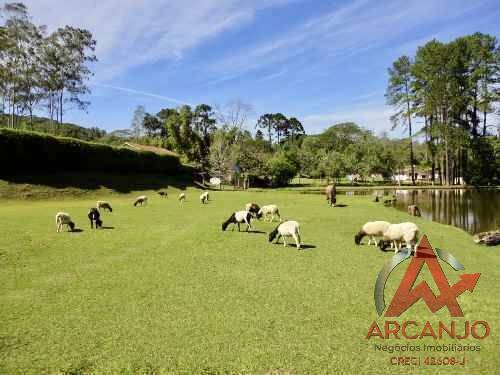 Fazenda à venda com 2 quartos, 410000m² - Foto 9