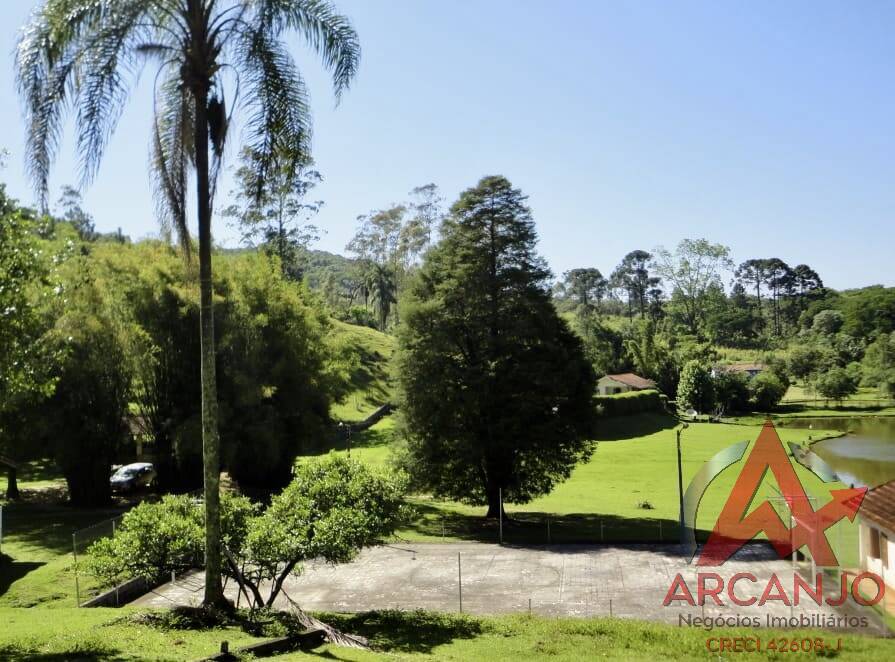 Fazenda à venda com 2 quartos, 410000m² - Foto 8
