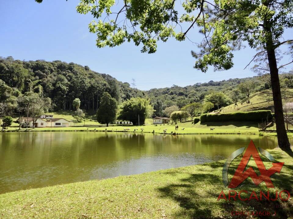 Fazenda à venda com 2 quartos, 410000m² - Foto 15
