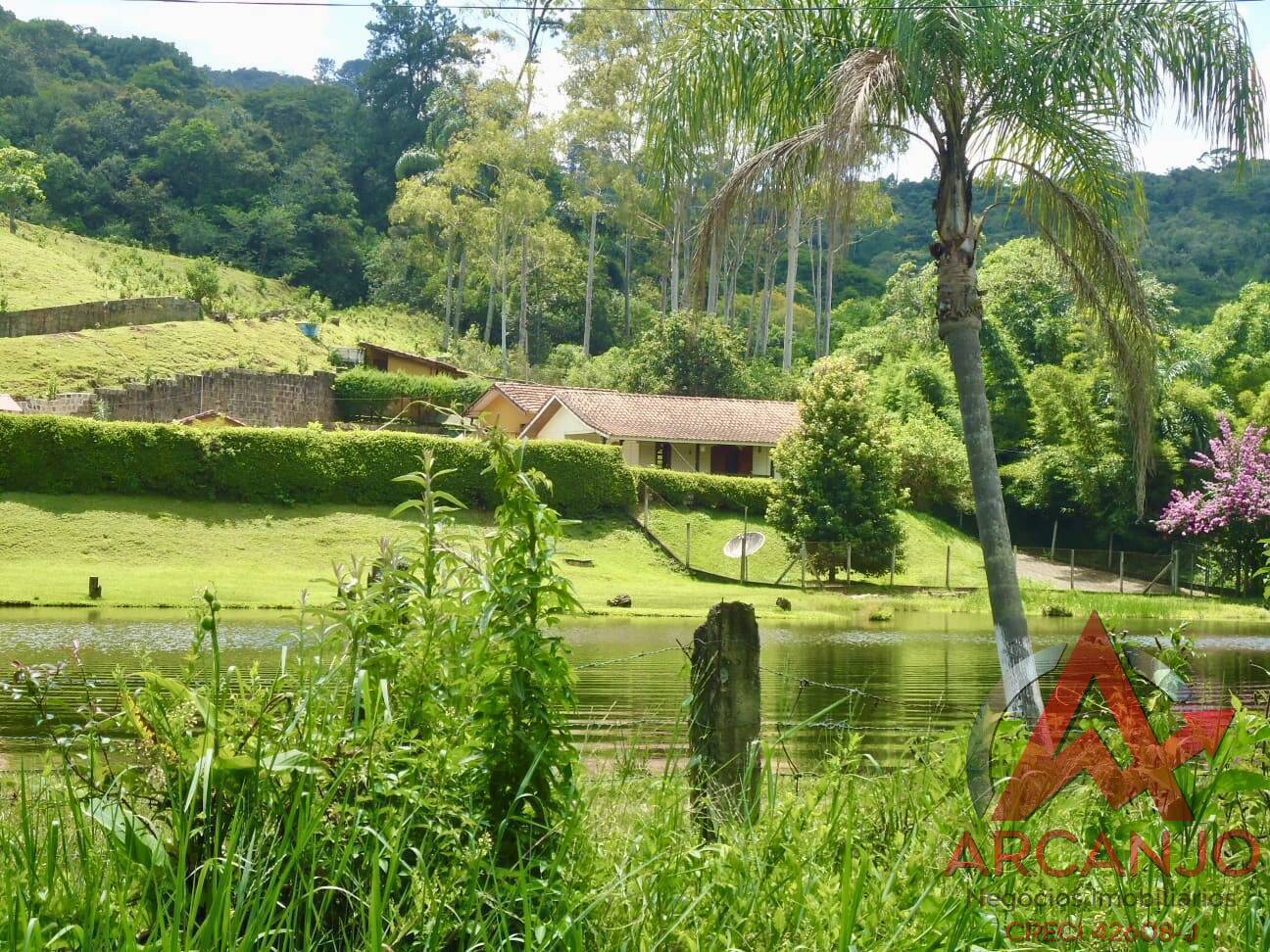 Fazenda à venda com 2 quartos, 410000m² - Foto 14