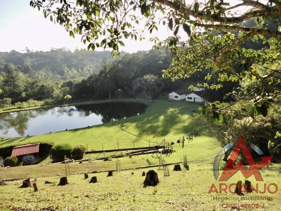 Fazenda à venda com 2 quartos, 410000m² - Foto 19