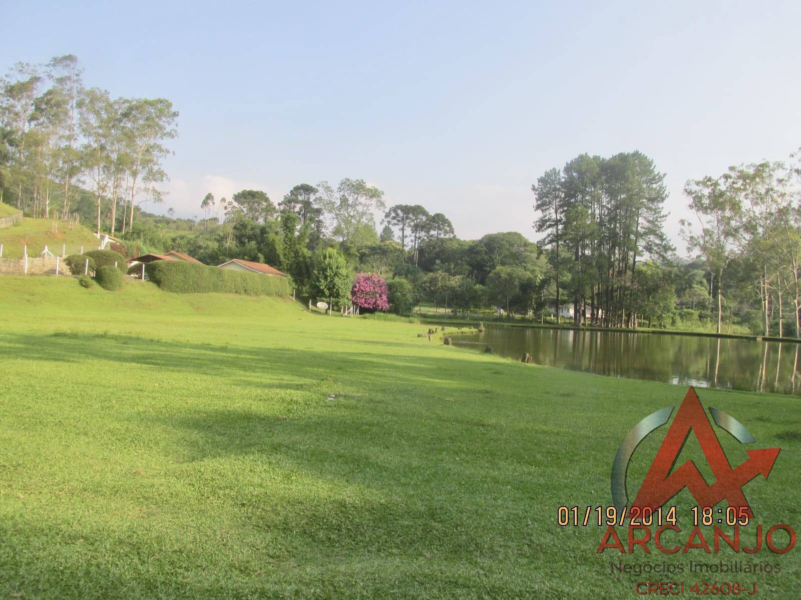 Fazenda à venda com 2 quartos, 410000m² - Foto 21