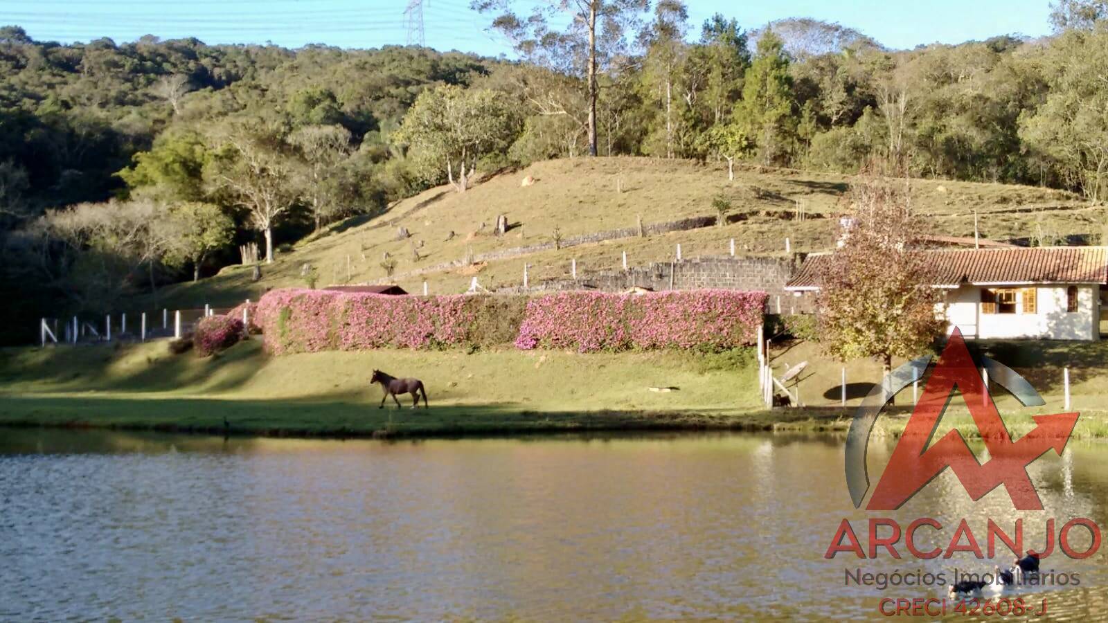 Fazenda à venda com 2 quartos, 410000m² - Foto 24
