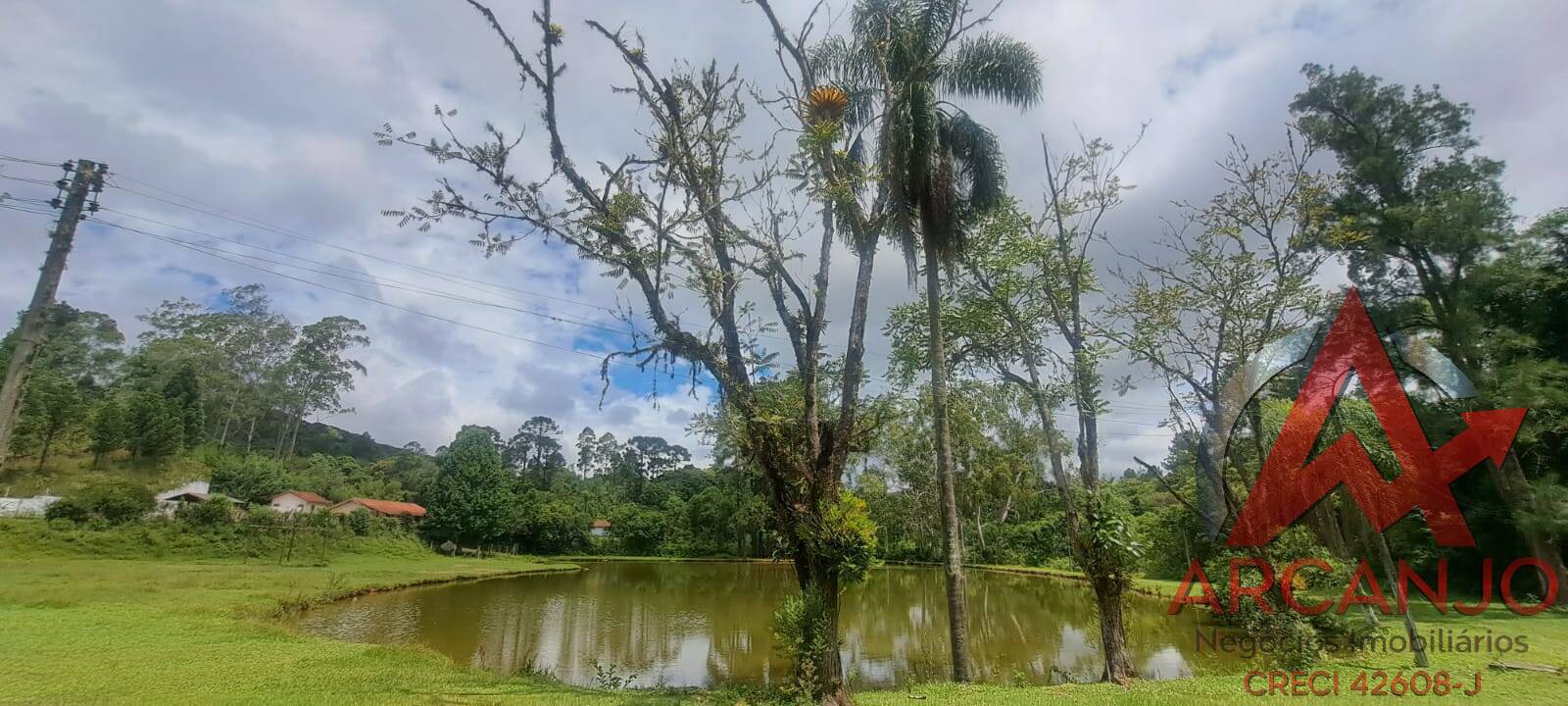 Fazenda à venda com 2 quartos, 410000m² - Foto 28