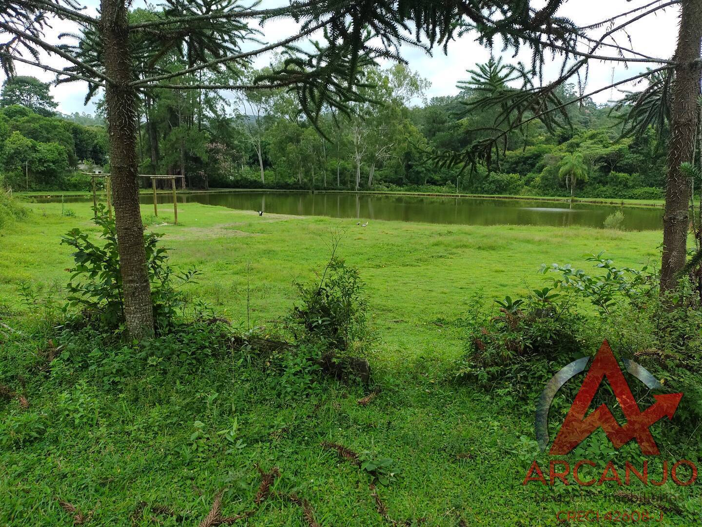 Fazenda à venda com 2 quartos, 410000m² - Foto 44