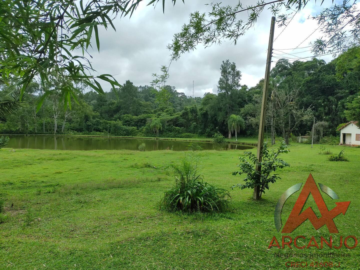 Fazenda à venda com 2 quartos, 410000m² - Foto 45