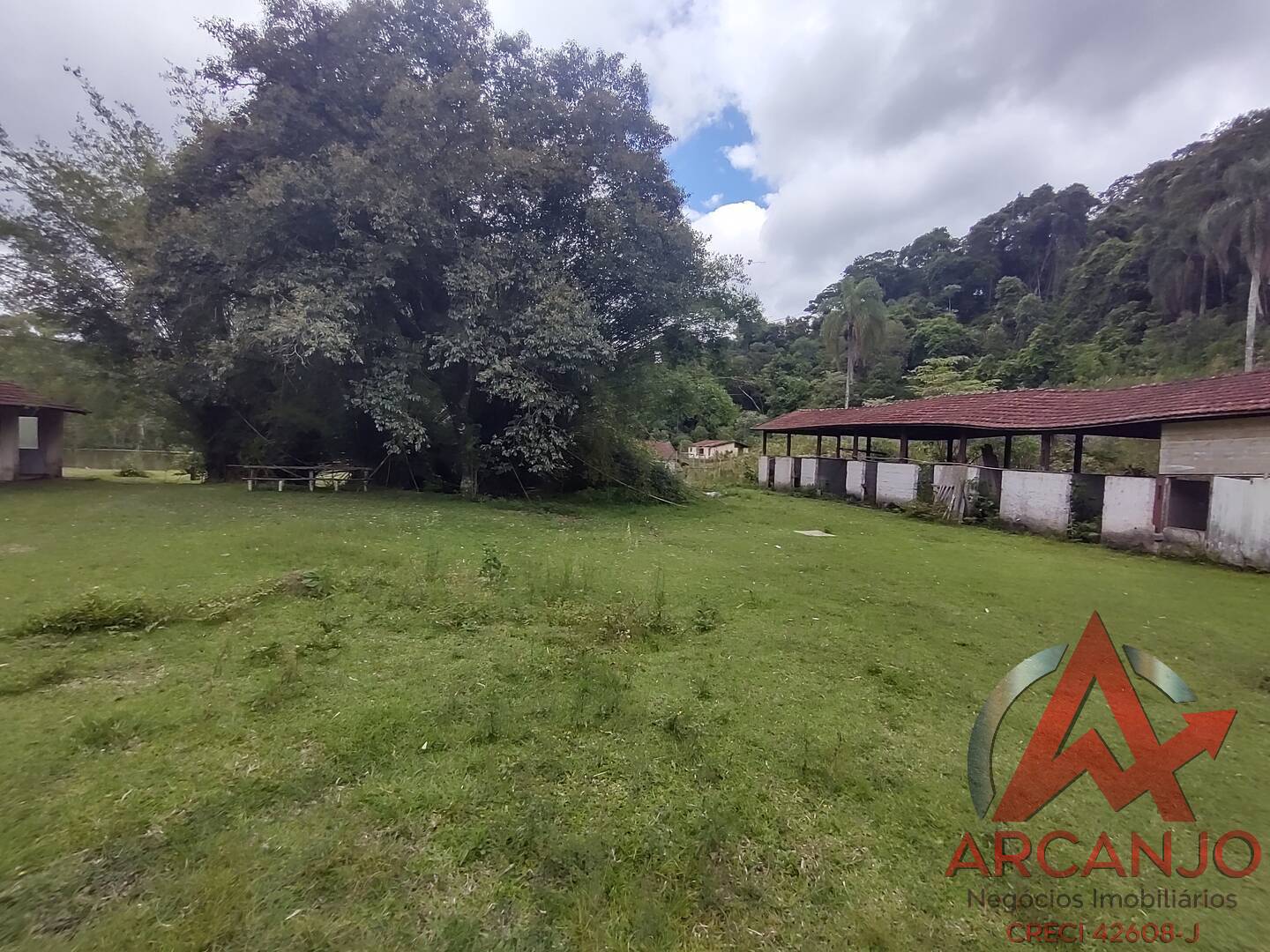 Fazenda à venda com 2 quartos, 410000m² - Foto 47