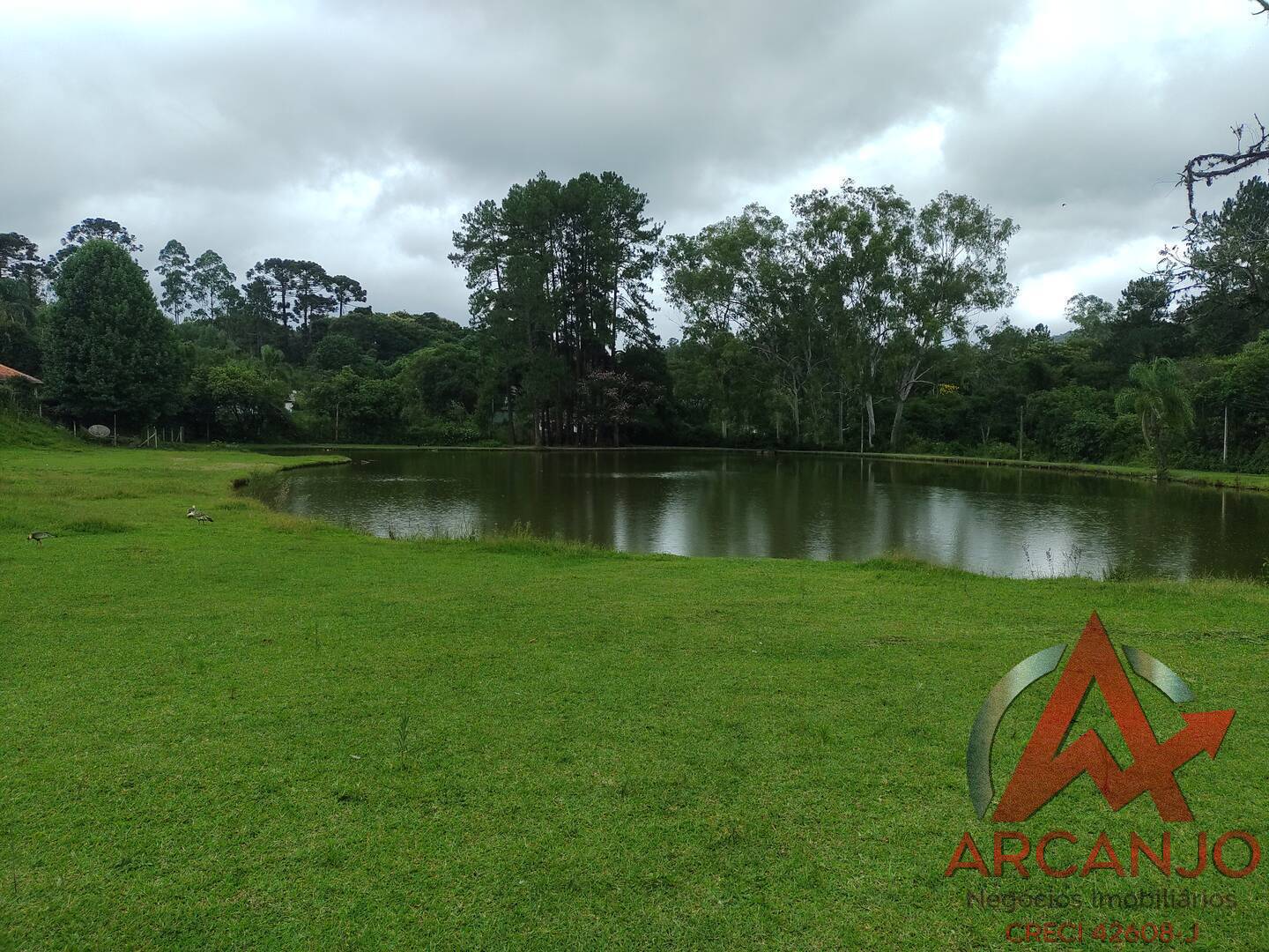 Fazenda à venda com 2 quartos, 410000m² - Foto 49